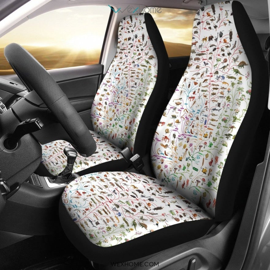 2pcs Car Seat Cover - Evolutionary biology