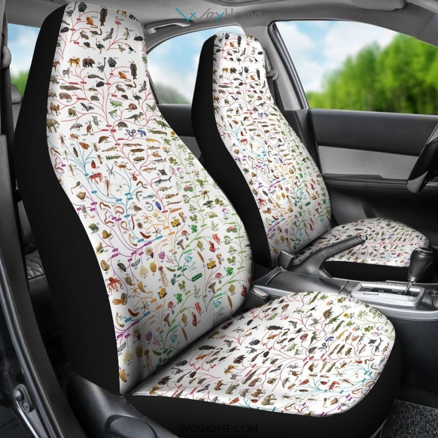 2pcs Car Seat Cover - Evolutionary biology
