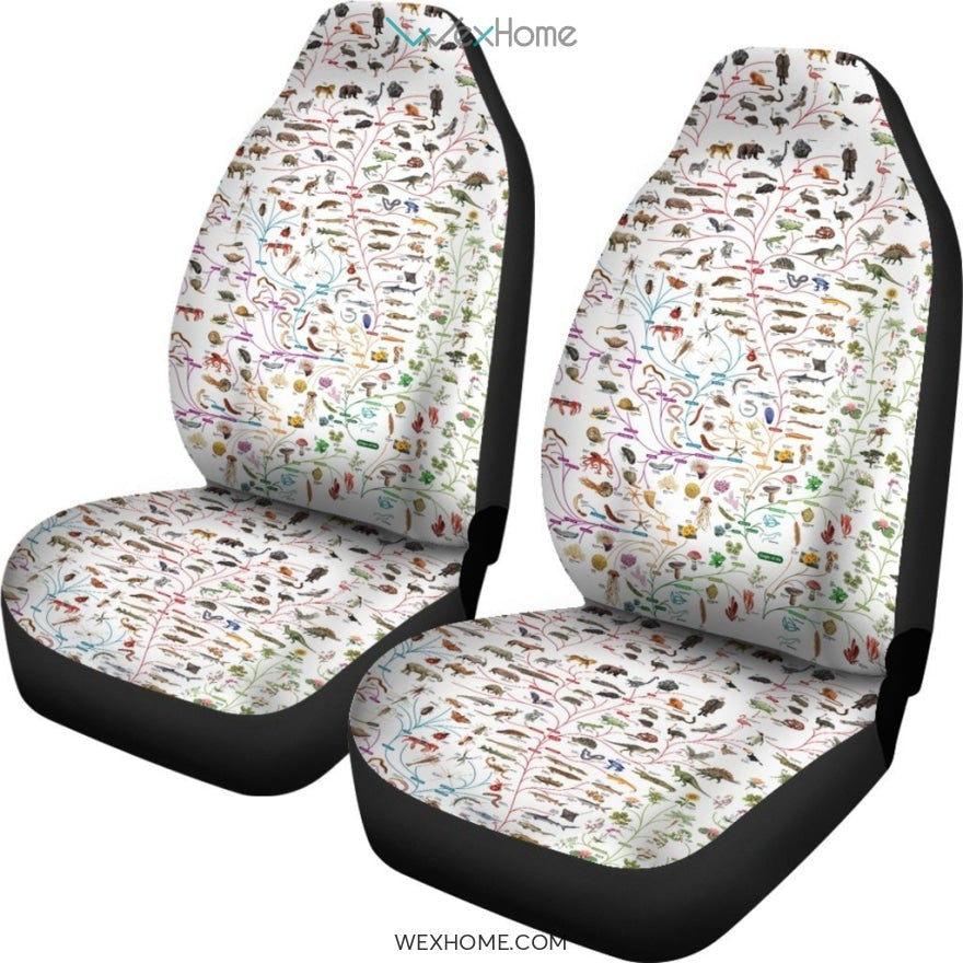 2pcs Car Seat Cover - Evolutionary biology