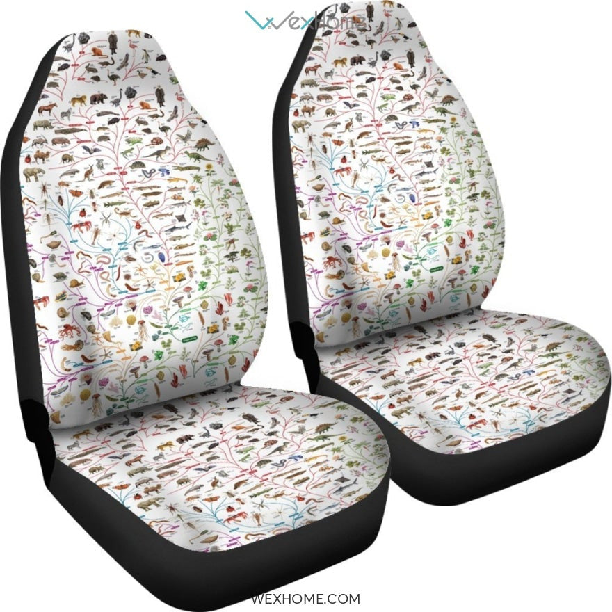 2pcs Car Seat Cover - Evolutionary biology